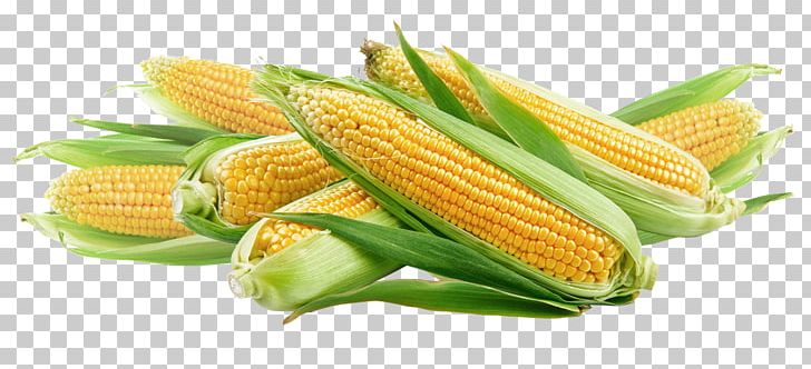 Pastel De Choclo Corn On The Cob Humita Maize Sweet Corn PNG, Clipart, Chile Con Queso, Commodity, Cooking, Corn, Corn Kernel Free PNG Download