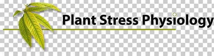 Plant Physiology Plant Stress Physiology PNG, Clipart, Area, Brand, Energy, Food Drinks, Graphic Design Free PNG Download