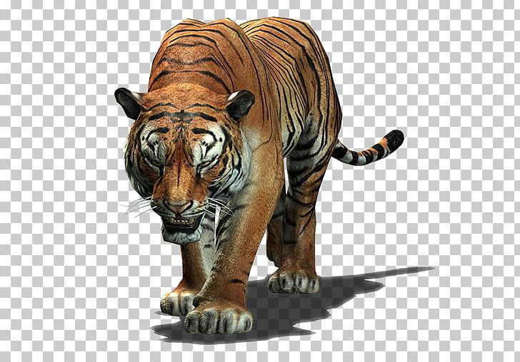 Indochinese Tiger Big Cat Roar PNG, Clipart, 2017, 2018, Animals, Big Cat, Big Cats Free PNG Download