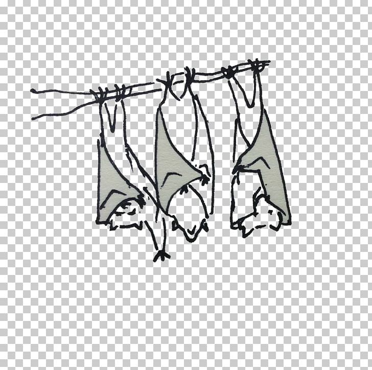 Mammal Product Point Angle PNG, Clipart, Angle, Area, Black And White, Branch, Drawing Free PNG Download