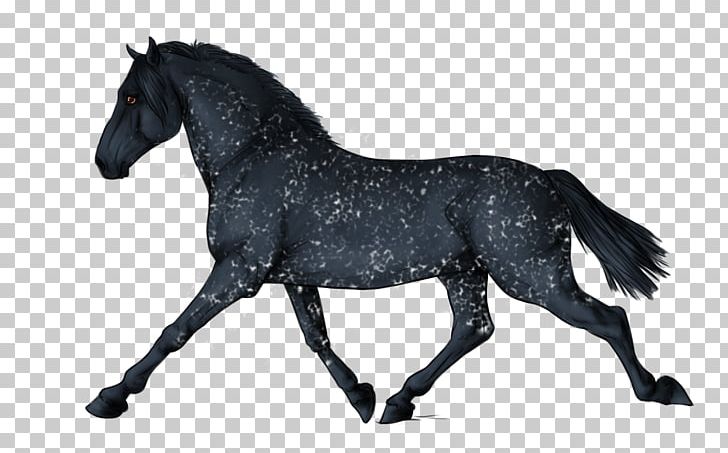 Mare Tennessee Walking Horse Equestrian Show Jumping PNG, Clipart, Animal Figure, Black, Bridle, Collection, Equestrian Free PNG Download