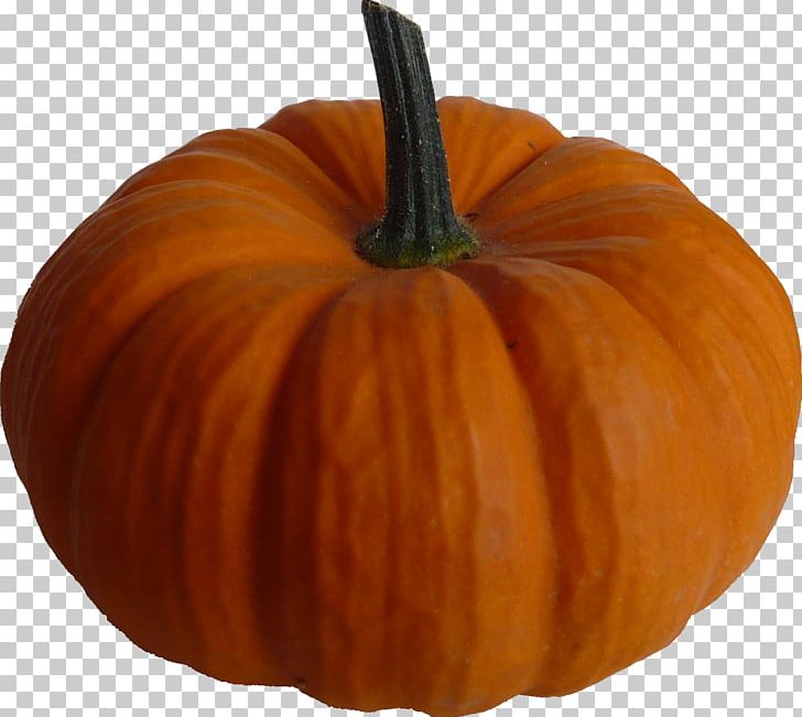 Pumpkin Pie Squash PNG, Clipart, Calabaza, Computer Icons, Cucumber Gourd And Melon Family, Cucurbita, Download Free PNG Download