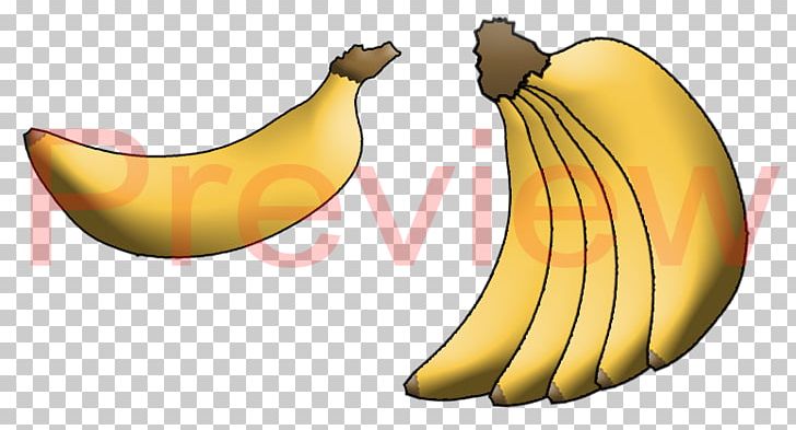 Banana Product Design PNG, Clipart, Banana, Banana Family, Beak, Flowering Plant, Food Free PNG Download