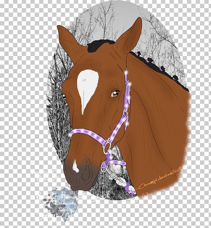 Halter Mustang Rein Bridle Pack Animal PNG, Clipart, Bridle, Halter, Headgear, Horse, Horse Like Mammal Free PNG Download