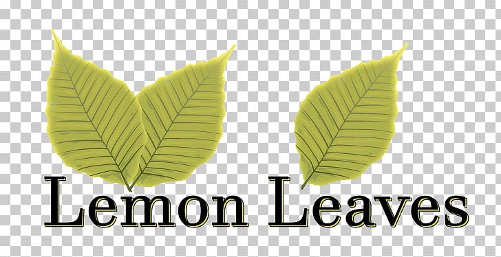 Leaf Logo Lemon Brand Font PNG, Clipart, Brand, Green, Leaf, Lemon, Logo Free PNG Download