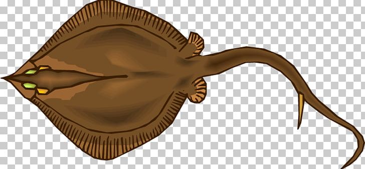 Myliobatoidei Estuary Stingray Animal PNG, Clipart, Animal, Cartoon, Color, Coloring Book, Com Free PNG Download