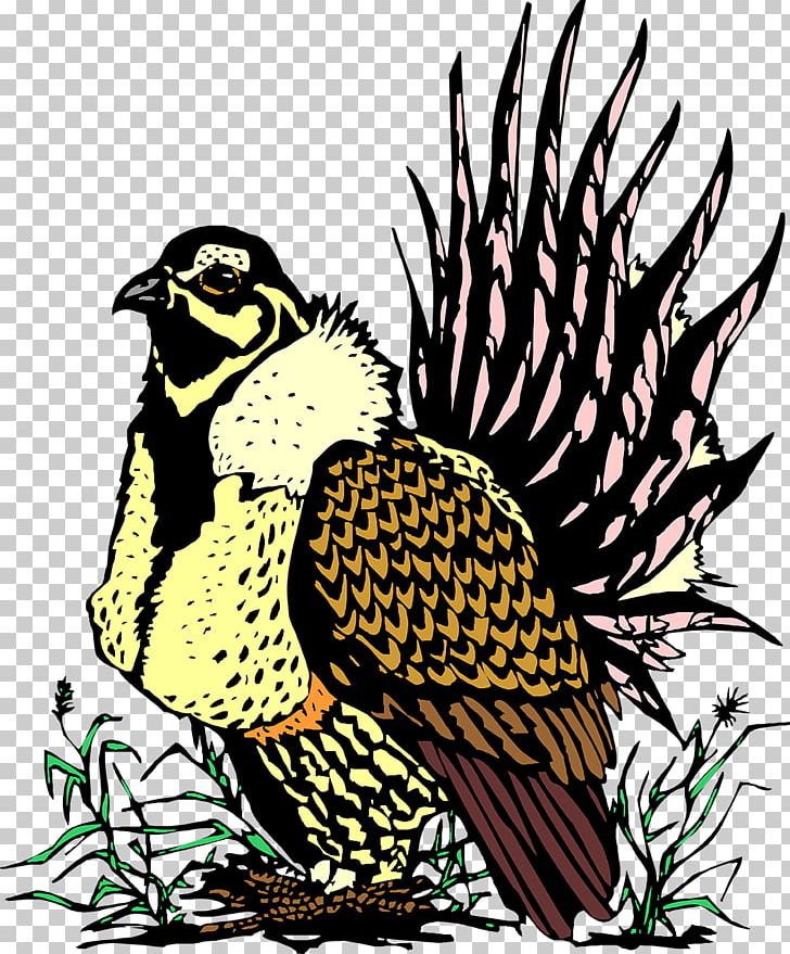 Owl Galliformes Beak Hawk PNG, Clipart, Animals, Art, Beak, Bird, Bird Of Prey Free PNG Download