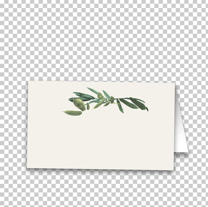 Paper Rectangle Leaf PNG, Clipart, Leaf, Paper, Rectangle Free PNG Download