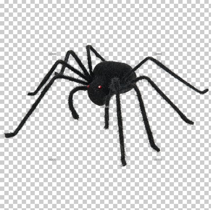 Spider Web Color Halloween Black PNG, Clipart, Animal, Arachnid, Arthropod, Black, Black Widow Free PNG Download