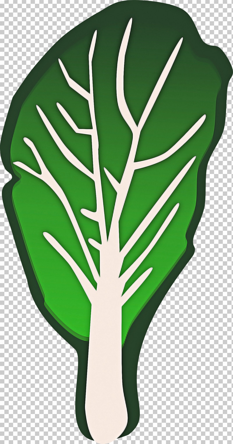 Green Leaf Monstera Deliciosa Plant Leaf Vegetable PNG, Clipart, Green, Leaf, Leaf Vegetable, Monstera Deliciosa, Plant Free PNG Download