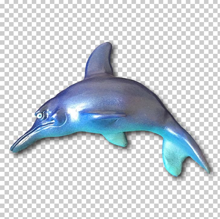 Common Bottlenose Dolphin Short-beaked Common Dolphin Rough-toothed Dolphin Tucuxi PNG, Clipart, Animal, Animals, Bottlenose Dolphin, Cetacea, Fauna Free PNG Download