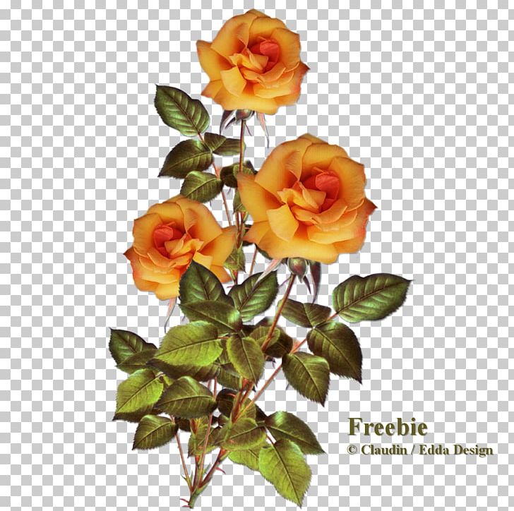 Garden Roses Cabbage Rose Floribunda Cut Flowers PNG, Clipart, Artificial Flower, Cut Flowers, Floribunda, Flower, Flowering Plant Free PNG Download