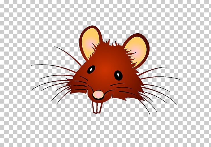 Laboratory Rat Mouse Black Rat PNG, Clipart, Animals, Black Rat, Carnivoran, Cartoon, Dog Like Mammal Free PNG Download