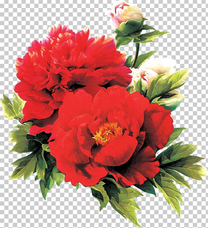 Moutan Peony Red PNG, Clipart, Annual Plant, Artificial Flower, Carnation, Cut Flowers, Encapsulated Postscript Free PNG Download