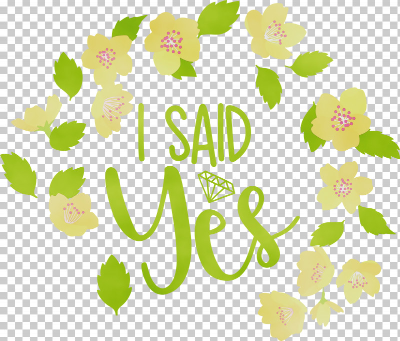 Floral Design PNG, Clipart, Clothing, Fashion, Floral Design, Flower, Hood Free PNG Download