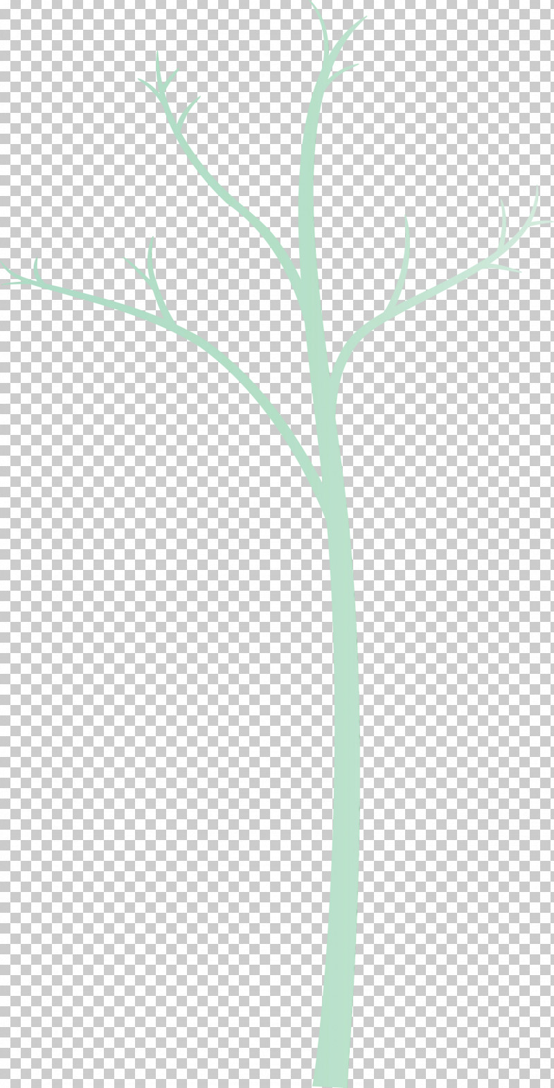 Green Leaf Plant Plant Stem Flower PNG, Clipart, Abstract Tree, Branch, Cartoon Tree, Flower, Grass Free PNG Download