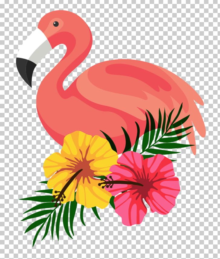 Flamingo PNG, Clipart, Art, Beak, Bird, Chicken, Clip Art Free PNG Download