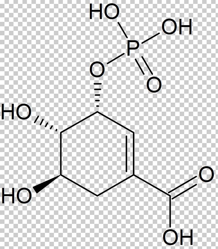 Muconic Acid Aspartic Acid Dicarboxylic Acid PNG, Clipart, Acid, Angle, Area, Aspartic Acid, Black And White Free PNG Download