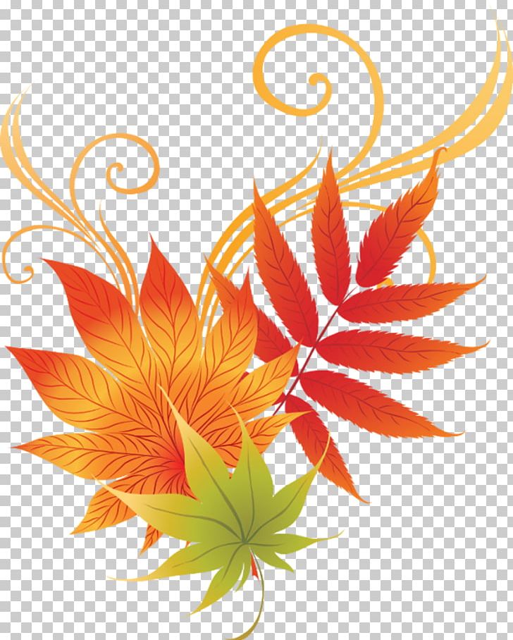 Leaf Autumn PNG, Clipart, Autumn, Color, Drawing, Element, Flora Free PNG Download