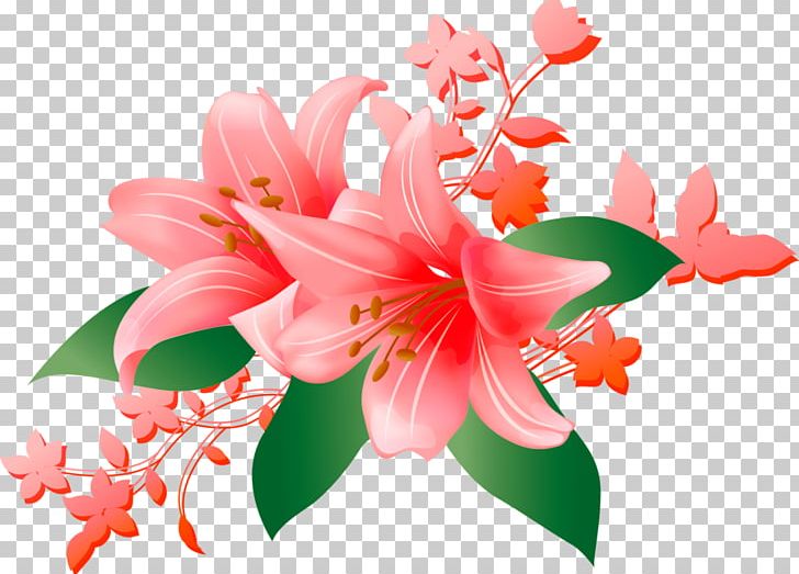 Pelgulinna Hospital Love Daytime Happiness Internet PNG, Clipart, Amaryllis Belladonna, Author, Birthday, Blossom, Cut Flowers Free PNG Download