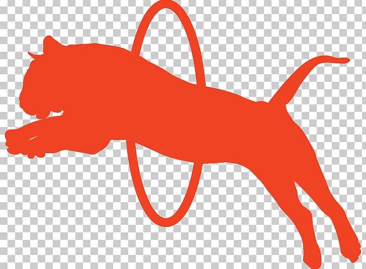 Cat Dog Leash PNG, Clipart, Animals, Carnivoran, Cat, Cat Like Mammal, Dog Free PNG Download