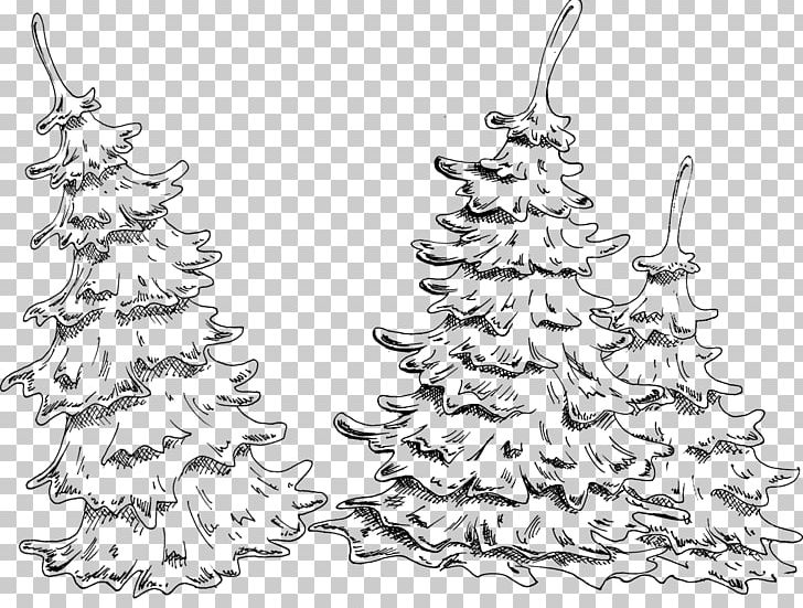 Christmas Tree Christmas Ornament Spruce Fir PNG, Clipart, Black And White, Branch, Christmas, Christmas Decoration, Christmas Ornament Free PNG Download