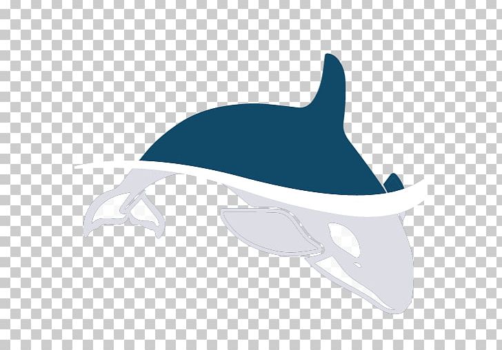 Dolphin Porpoise Killer Whale PNG, Clipart, Animals, Anker, Brochure, Cap, Cba Free PNG Download