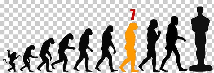 Human Evolution Europe Darwinism Homo Sapiens PNG, Clipart, Arm, Bich, Bipedalism, Brand, Charles Darwin Free PNG Download