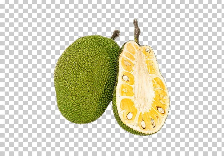 Jackfruit Tropical Storm Khanun Central Ohio Farmers Co-Op Sueng PNG, Clipart, Citron, Citrus, Citrus Junos, Durian, Food Free PNG Download