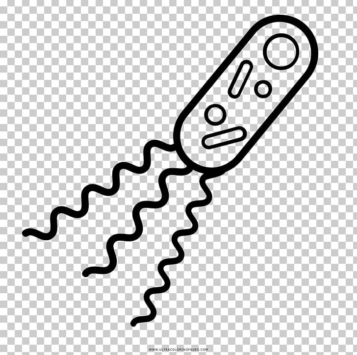 Download Bacteria Drawing Coloring Book Biology Microscope Png Clipart Amine Area Bacteria Bacterias Biology Free Png Download