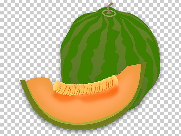 Honeydew Cantaloupe Canary Melon PNG, Clipart, Calabaza, Canary Melon, Cantaloupe, Cucumber Gourd And Melon Family, Cucumis Free PNG Download