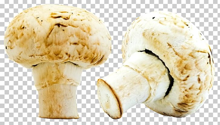 Ice Cream Mushroom PNG, Clipart, Agaricaceae, Agaricus, Cream, Dairy Product, Dondurma Free PNG Download