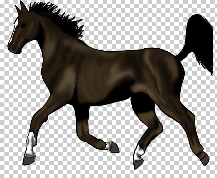 Pony Trot Mane Stallion Thoroughbred PNG, Clipart, Animal Figure, Brid, Colt, Drawing, Dressage Free PNG Download