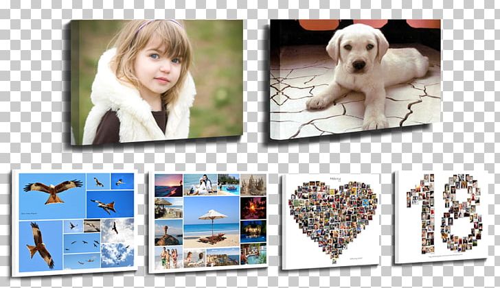 Canvas Print Printing Photographic Paper PNG, Clipart, Baby Birth, Box, Canvas, Canvas Print, Collage Free PNG Download
