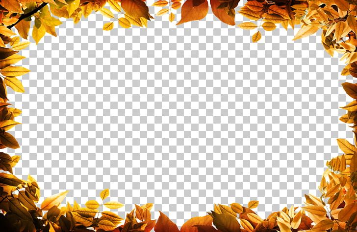 Film Frame Leaf Autumn PNG, Clipart, Autumn, Autumn Leaf Color, Border, Border Frame, Bumper Free PNG Download
