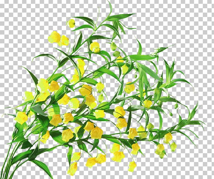 Flower Lily Of The Valley Floral Design PNG, Clipart, Branch, Cut Flowers, Download, Flora, Floristry Free PNG Download