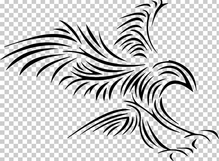 Bald Eagle Eagle Feather Law PNG, Clipart, Animals, Artwork, Beak, Bird, Black And White Free PNG Download