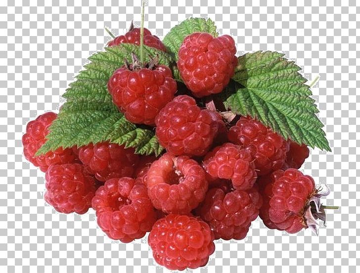 Red Raspberry Plant Shop "Ruza Garden" Varenye PNG, Clipart, Berry, Blackberry, Boysen, Currant, Food Free PNG Download