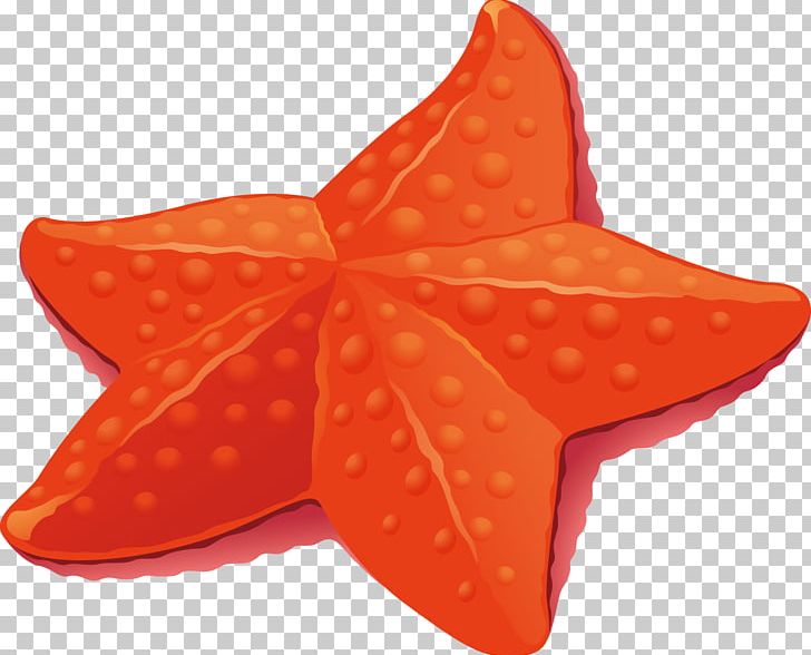 Starfish Euclidean PNG, Clipart, Animals, Beautiful Starfish, Cartoon Starfish, Encapsulated Postscript, Euclidean Space Free PNG Download