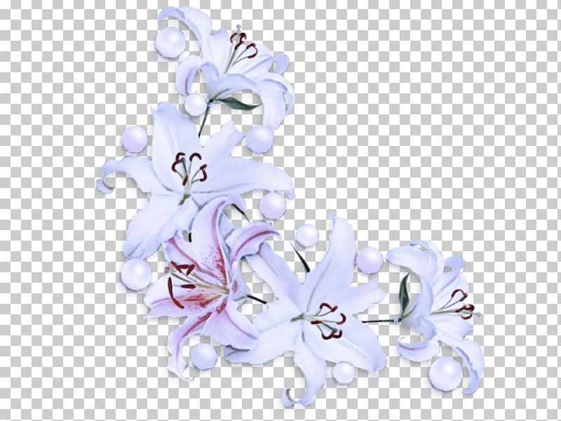 Lavender PNG, Clipart, Biology, Cut Flowers, Flower, Hair, Lavender Free PNG Download