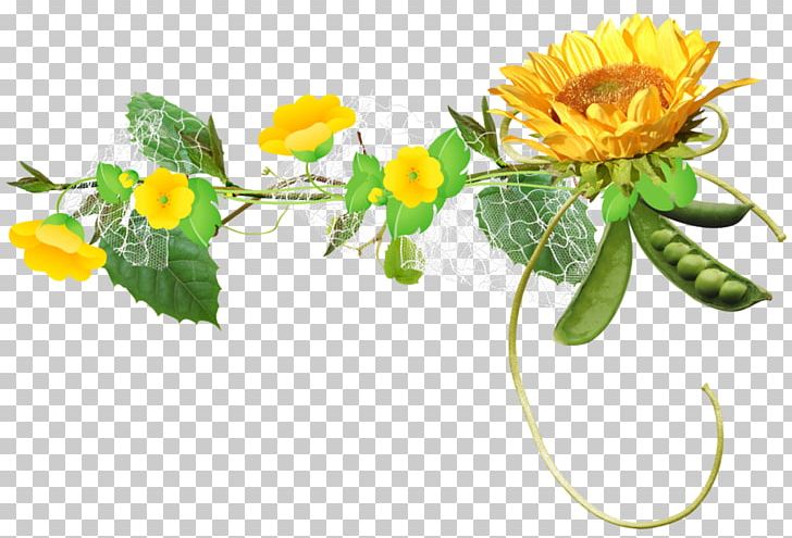 Common Sunflower PNG, Clipart, Clip Art, Common Sunflower, Cut Flowers, Daisy, Dandelion Free PNG Download
