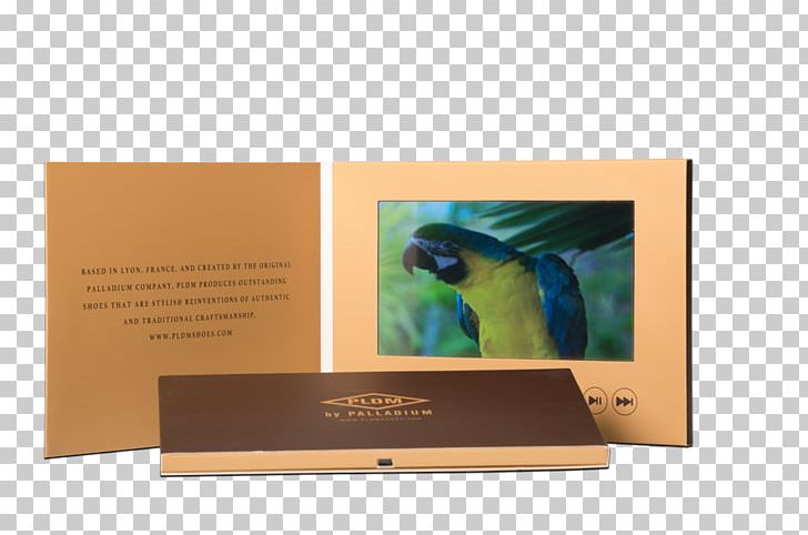 Video Brochure Advertising Pamphlet PNG, Clipart, Adobe Captivate, Advertising, Book, Brand, Brochure Free PNG Download
