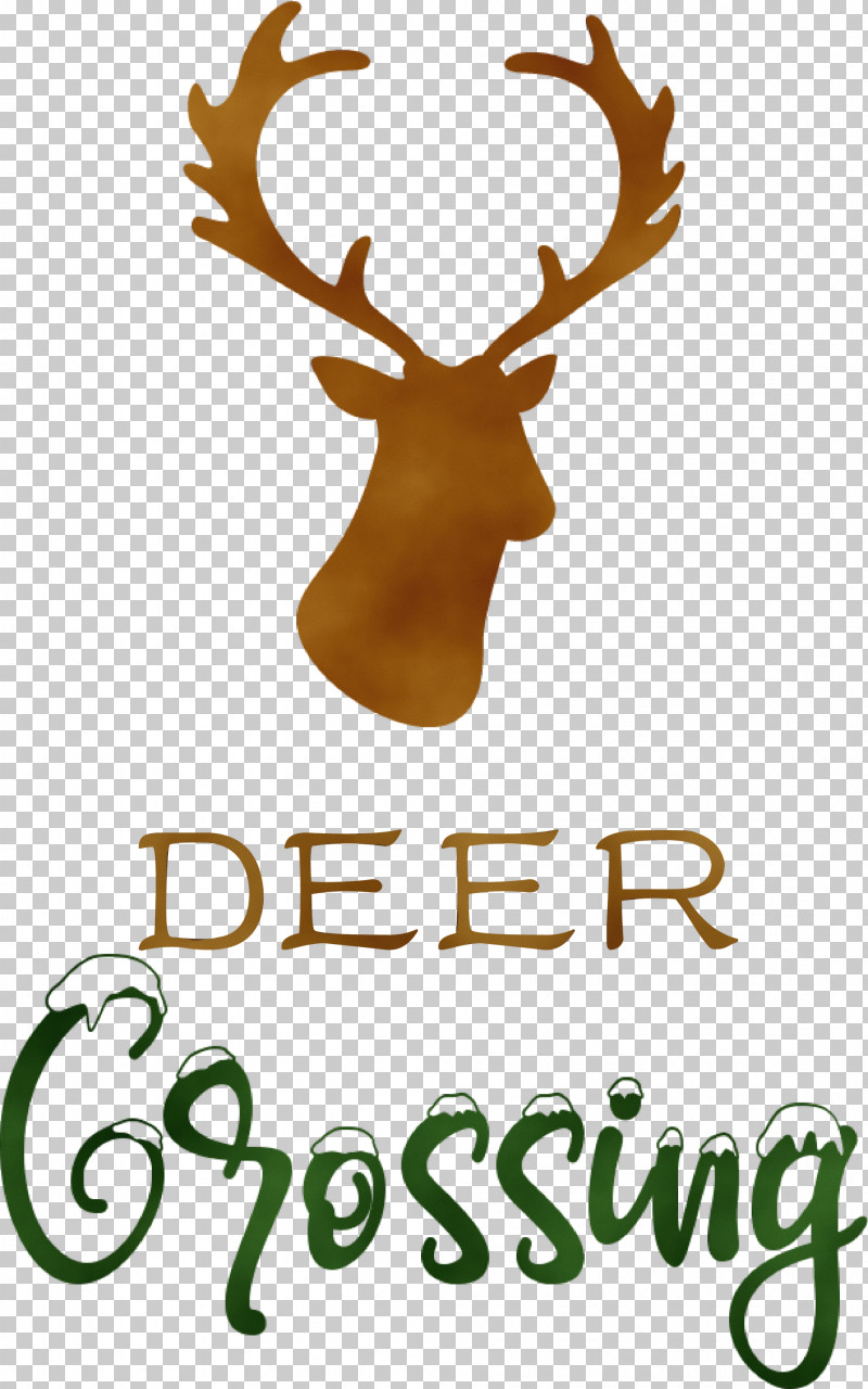 Reindeer PNG, Clipart, Antler, Antlerfawn, Deer, Deer Crossing, Elk Free PNG Download