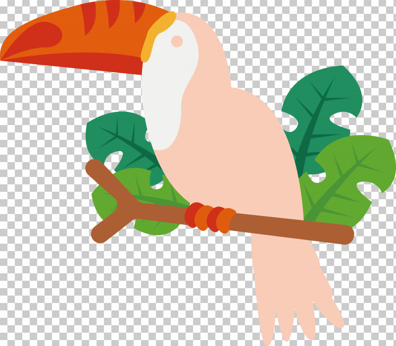 Beak Birds Character Water Bird Line PNG, Clipart, Beak, Biology, Birds, Character, Character Created By Free PNG Download