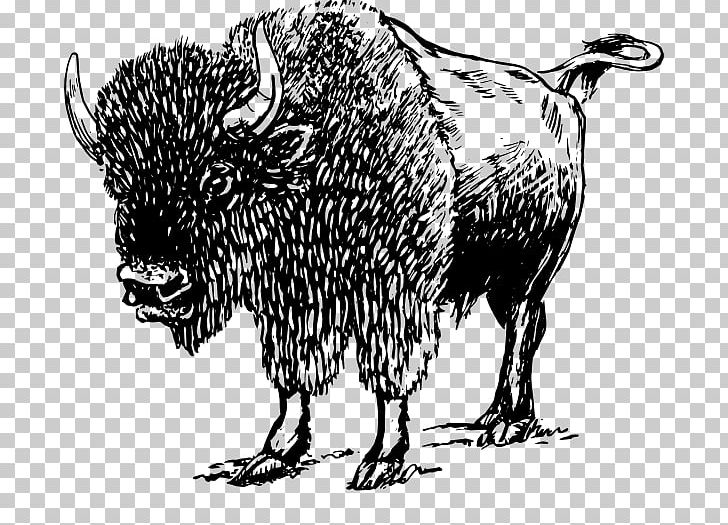 American Bison PNG, Clipart, American Bison, Art, Bison, Black And White, Bull Free PNG Download