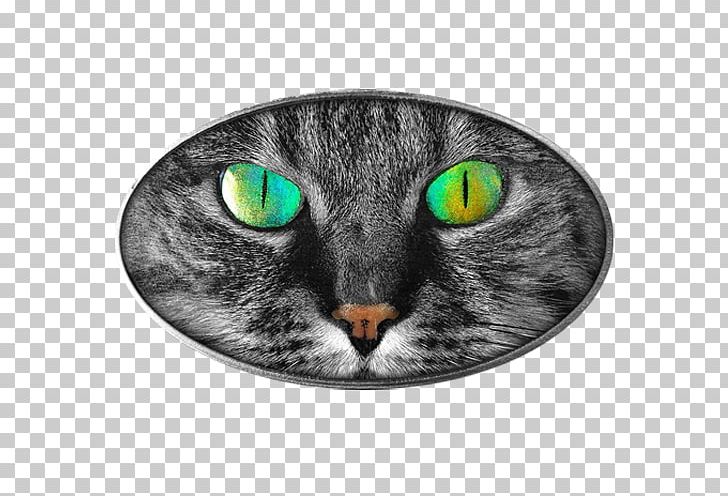 Cat's Eye Tabby Cat The Pupil PNG, Clipart,  Free PNG Download