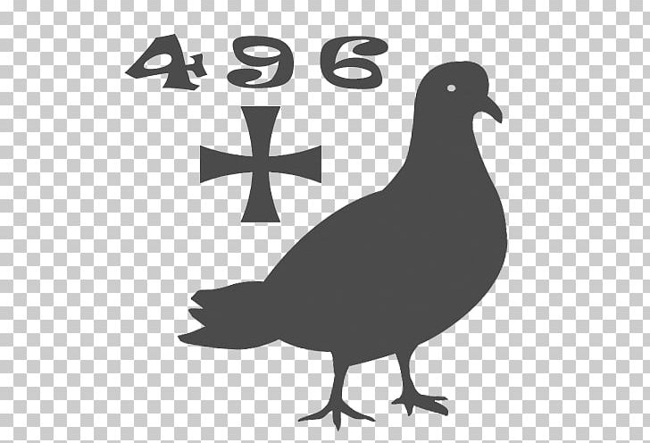 Columbidae Paper Homing Pigeon Racing Homer Dierenkliniek Othene PNG, Clipart, Beak, Bird, Black And White, Columbidae, Download Free PNG Download