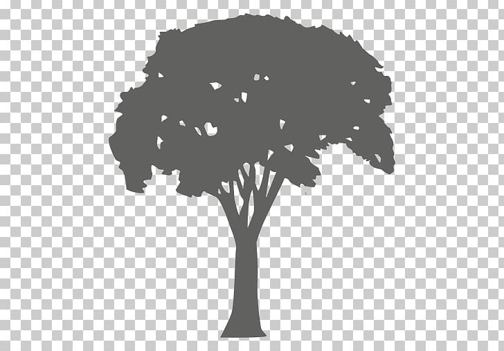 Silhouette Tree Photography PNG, Clipart, Animals, Arboles, Black And White, Branch, Christmas Tree Free PNG Download
