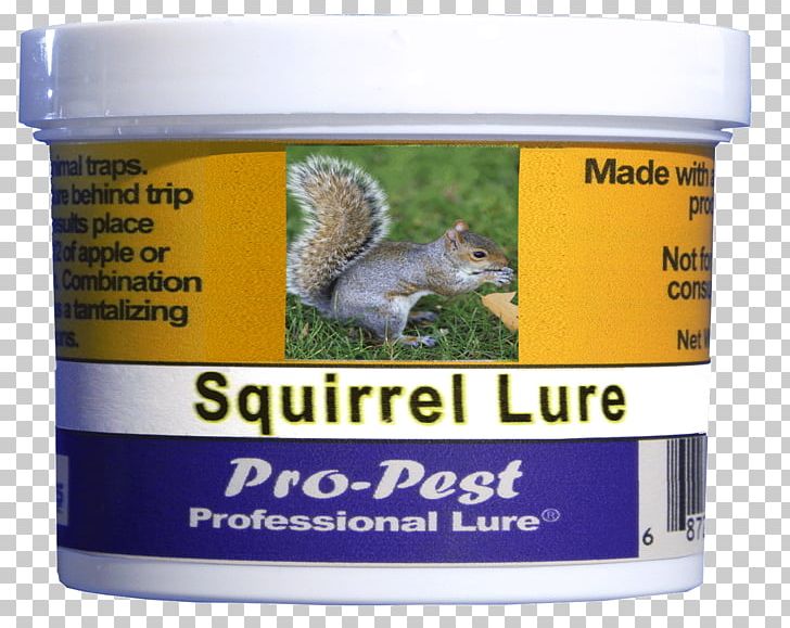 Squirrel Groundhogs Rat Bait PNG, Clipart, Animal, Animals, Bait, Cockroach, Fishing Baits Lures Free PNG Download