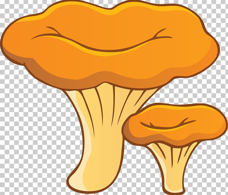 Chanterelle Fungus Edible Mushroom Aspen Mushroom PNG, Clipart, Aspen Mushroom, Boletus, Boletus Edulis, Cantharellus, Chanterelle Free PNG Download